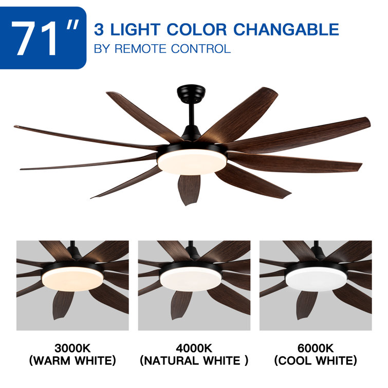 71 In-9 Blades Industrial Large Ceiling Fan with LED Lights